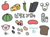 ビタミンB1を含む食品のイラスト